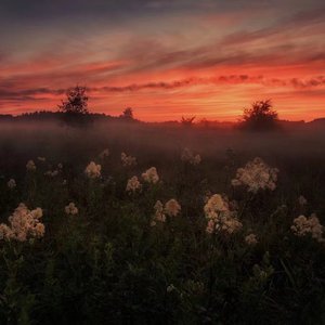 初学生破初疼哭了借种
